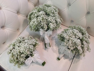 All white gypsophila wedding collection, including 1 x bridal bouquet , 2 x bridesmaid bouquets and 6 x buttonholes. 