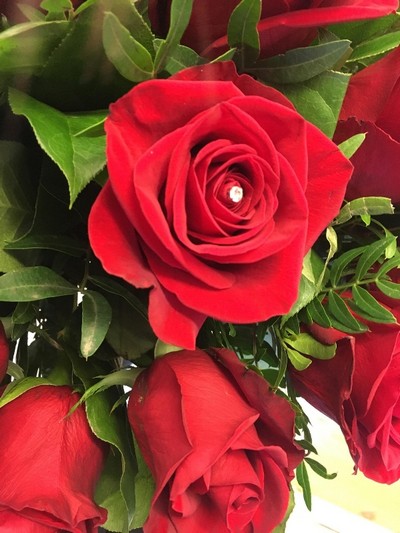 Eighteen luxury red Freedom roses, hand-tied in water, wrapped in modern cellophane, and presented in a signature black gift bag, with diamante rose centres for added sparkle.