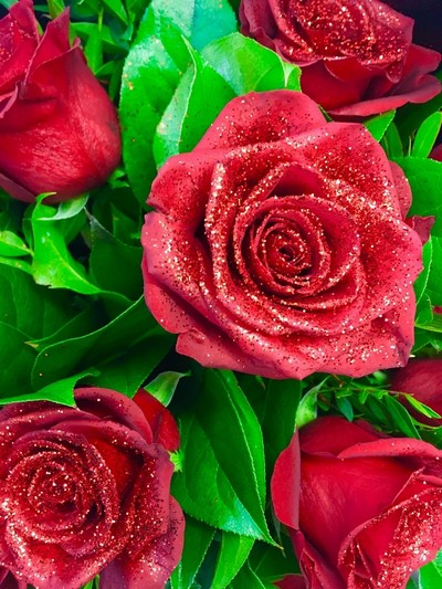 Glittered luxury red Freedom roses with complementary foliage, wrapped in black cellophane and matching black gift bag.