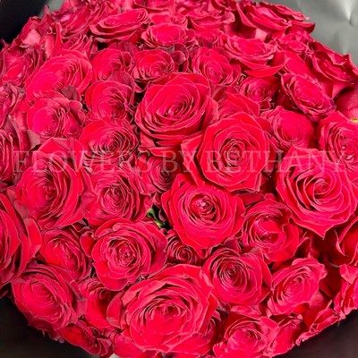 Hand-tied bouquet of 100 luxury large-headed red Freedom roses, wrapped in frosted black cellophane with a large red satin ribbon, and delivered with a FREE XL glass vase. Size: 24 x 24 Inch.