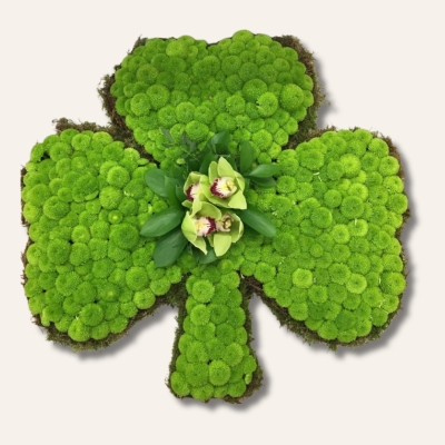 Shamrock funeral tribute made with massed Kermit chrysanthemum and central lime green focal, 24 x 23 inches.