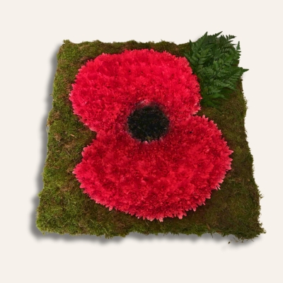 Poppy funeral tribute made with red sprayed chrysanthemum, black centre and green leaf detailing on a moss base. Design Board is 2ft x 2ft. 
