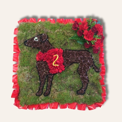 Racing dog-shaped funeral tribute made with white chrysanthemum, red carnation accents, and pipe cleaner detailing on a moss base with ribbon edging.