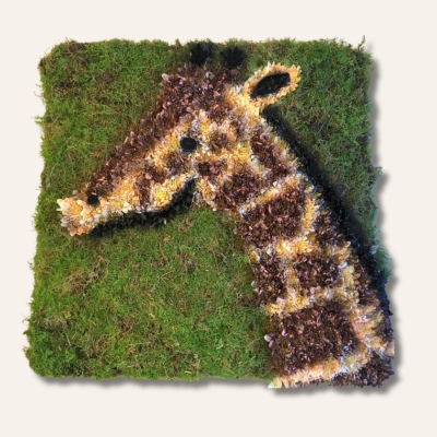 Giraffe-shaped funeral tribute made with sprayed chrysanthemums on a moss base, detailed with pipe cleaner markings for a lifelike finish.