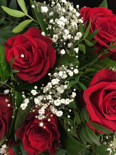 Twelve luxury red roses with white gypsophila, accented with complementary foliage, wrapped in luxury cellophane and matching gift bag, hand-tied in water.