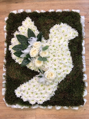 Beautiful dove funeral design with white chrysanthemum, white roses and feather detailing. 