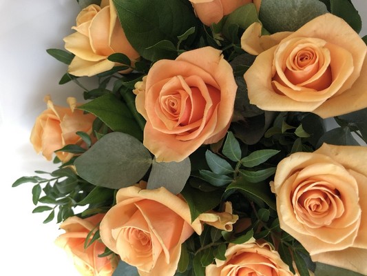 A gorgeous bouquet of 9 peach roses wrapped in cellophane in water. 