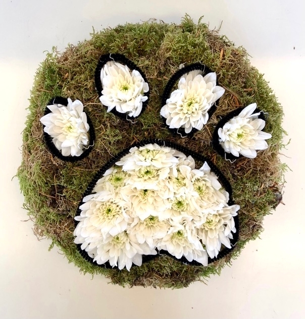 Simple paw print funeral tribute created with moss back and white chrysanthemum print. 