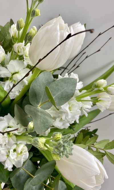 Stunning white bouquet filled with the freshest crisp white tulips and scented stocks finished with mixed foliage and natural birch twigs. Design comes in a modern glass vase and presented in our signature gift bag. 