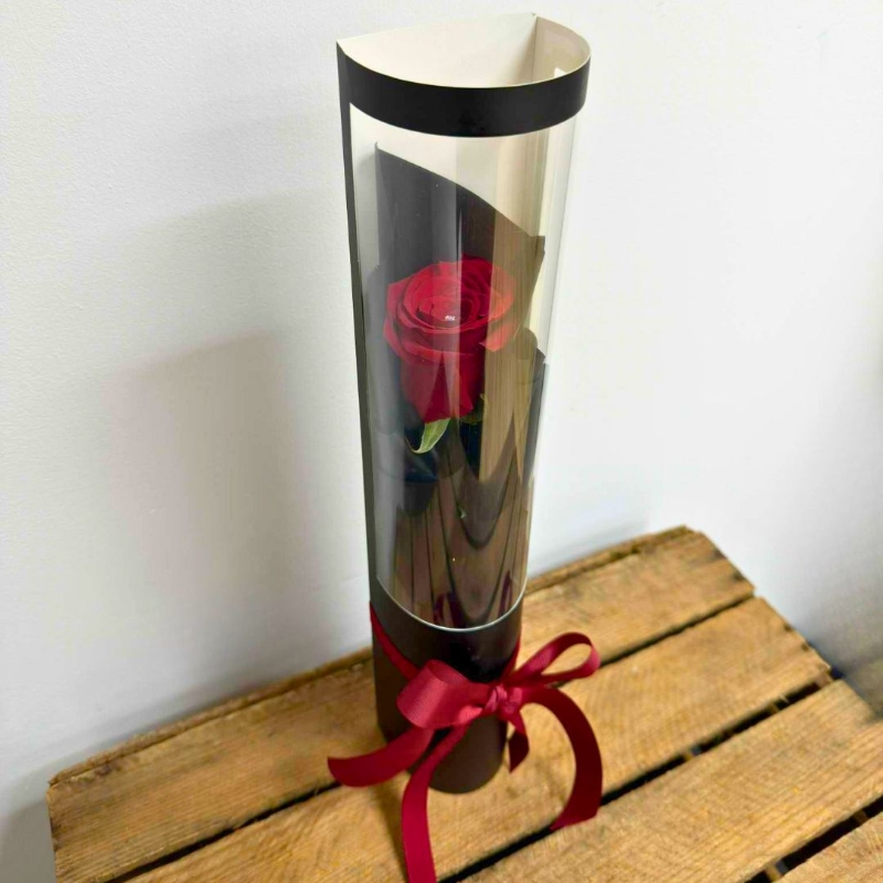 Luxury single red rose displayed in a black presentation tube with a clear window, red ribbon bow and diamante centre detail.