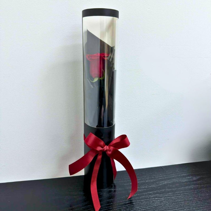 Luxury single red rose displayed in a black presentation tube with a clear window, red ribbon bow and diamante centre detail.