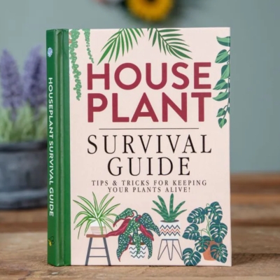 Houseplant Survival Guide hardback book with 96 pages of indoor plant care tips – houseplant care guide available from Flowers by Bethany Manchester.