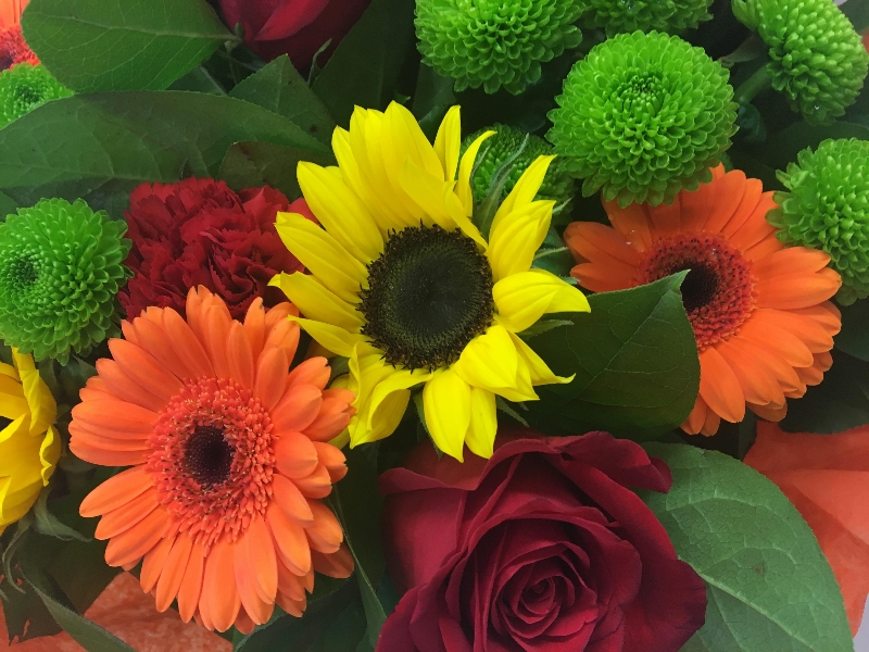 Bouquet including a mix of fiery colours with roses, germini and sunflowers. 