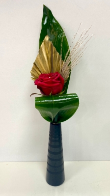 Single red rose presented in a slim black ceramic vase and finished with complementary foliage. 