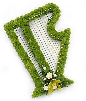 Irish harp funeral tribute made with kermit green chrysanthemum and green orchid focal. 