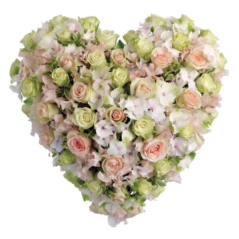Soft pink and white heart including roses, hydrangea and sweet pea. 