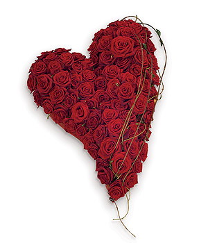Swinging massed heart funeral tribute made with luxury red roses. 