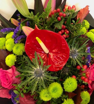 A beautiful bouquet including pink roses and lily, red anthurium and berries, green kermit chrysanthemum and pop's or purple statice and blue thistle all wrapped in black cellophane and presented in a gift bag. 