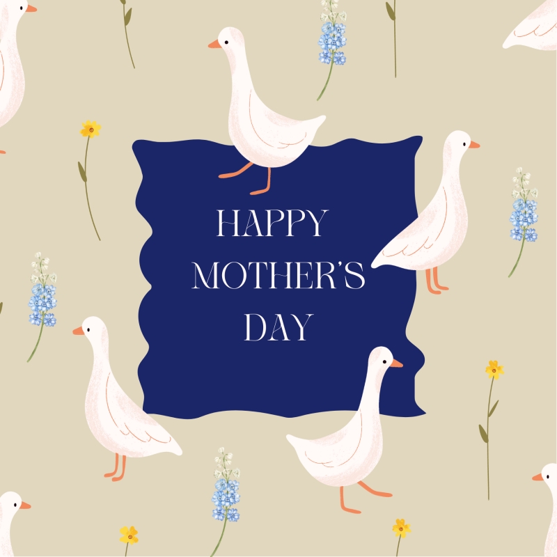Mother’s Day greeting card with illustrated white ducks, small spring flowers and a navy centre panel reading Happy Mother’s Day, paired with a kraft envelope.