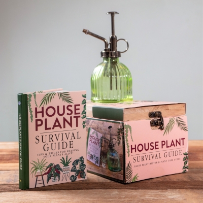 Houseplant Survival Guide gift set with 96-page indoor plant care book and glass plant mister presented in a wooden gift box – plant lover gift available from Flowers by Bethany Manchester.