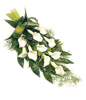 Pure white calla lily spray with complementary foliage and natural bow. 