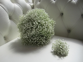 All white gypsophila wedding collection, including 1 x bridal bouquet , 2 x bridesmaid bouquets and 6 x buttonholes. 