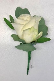 White rose buttonhole with foliage and pin. 