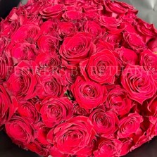 Hand-tied bouquet of 100 luxury large-headed red Freedom roses, wrapped in frosted black cellophane with a large red satin ribbon, and delivered with a FREE XL glass vase. Size: 24 x 24 Inch.