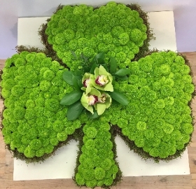 Shamrock funeral tribute made with a moss edge and kermit chrysanthemum base with orchid focal. 