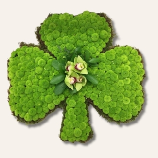 Shamrock Tribute