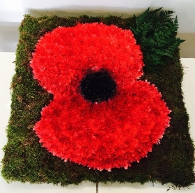 Poppy funeral tribute with bold red chrysanthemum, black centre and moss background. 