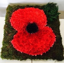 Poppy Tribute