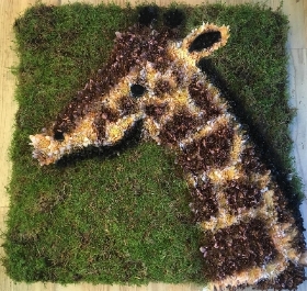 Giraffe funeral tribute created with moss and chrysanthemum with spray paint detailing. 
