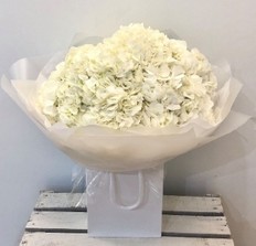 A luxury hand tied of white hydrangea. 