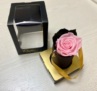 Single forever rose in soft ivory presented in a mini hatbox with ribbon. 