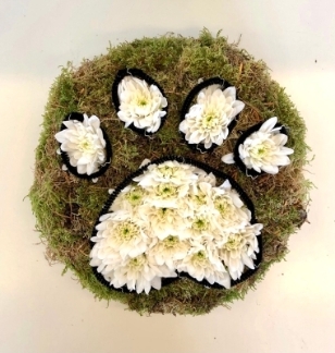 Simple paw print funeral tribute created with moss back and white chrysanthemum print. 