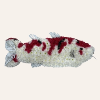 Koi fish funeral tribute with white chrysanthemum base, red and black sprayed detailing, palm leaf fins, gill detailing, and whisker accents.