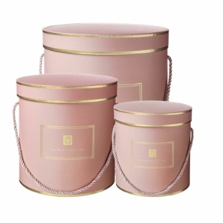 Pink Hamilton hat box with gold detailing and rope handles. 