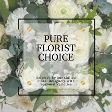 Pure florist choice bouquet is carefully curated by our skilled floral design's showcasing beautiful white blooms and fresh foliage's. 