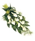 Calla lily funeral spray with complementary foliage and a natural bow.