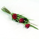 Single red rose funeral spray with willow and greenery.